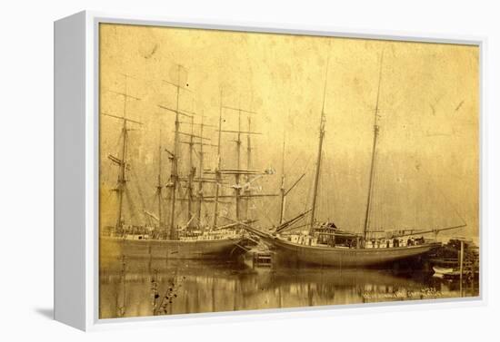 State of Washington Views: Schooner Vine (ca. 1890)-null-Framed Premier Image Canvas