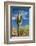 Stately Saguaro-raphoto-Framed Photographic Print