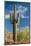 Stately Saguaro-raphoto-Mounted Photographic Print