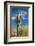 Stately Saguaro-raphoto-Framed Photographic Print