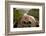 Stationary Viewer-Paul Souders-Framed Photographic Print