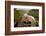 Stationary Viewer-Paul Souders-Framed Photographic Print