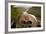 Stationary Viewer-Paul Souders-Framed Photographic Print