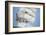 Statsraad Lehmkuhl-Philip Plisson-Framed Art Print