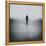 Statue Alone on Beach-Craig Roberts-Framed Premier Image Canvas