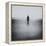 Statue Alone on Beach-Craig Roberts-Framed Premier Image Canvas