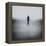 Statue Alone on Beach-Craig Roberts-Framed Premier Image Canvas