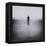 Statue Alone on Beach-Craig Roberts-Framed Premier Image Canvas