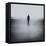 Statue Alone on Beach-Craig Roberts-Framed Premier Image Canvas