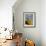 Statue and Hot Air Balloon, San Miguel De Allende, Mexico-Nancy Rotenberg-Framed Photographic Print displayed on a wall