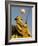 Statue and Hot Air Balloon, San Miguel De Allende, Mexico-Nancy Rotenberg-Framed Photographic Print