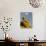 Statue and Hot Air Balloon, San Miguel De Allende, Mexico-Nancy Rotenberg-Photographic Print displayed on a wall