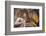 Statue at Bhimsen Temple, Kathmandu, Nepal, Asia-Ian Trower-Framed Photographic Print