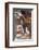 Statue at Bhimsen Temple, Kathmandu, Nepal, Asia-Ian Trower-Framed Photographic Print