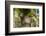 Statue at Giardino Bardini, UNESCO, Firenze, Tuscany, Italy-Nico Tondini-Framed Photographic Print