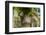 Statue at Giardino Bardini, UNESCO, Firenze, Tuscany, Italy-Nico Tondini-Framed Photographic Print