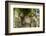 Statue at Giardino Bardini, UNESCO, Firenze, Tuscany, Italy-Nico Tondini-Framed Photographic Print