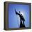 Statue, Brasilia, Brazil, South America-Geoff Renner-Framed Premier Image Canvas