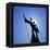 Statue, Brasilia, Brazil, South America-Geoff Renner-Framed Premier Image Canvas