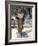 Statue by Tom Murphy of Bessie Braddock, Noted Member of Parliament for Liverpool-Ethel Davies-Framed Photographic Print