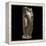 Statue Female Portrait of Type of Venus Genetrix-null-Framed Premier Image Canvas