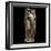 Statue Female Portrait of Type of Venus Genetrix-null-Framed Photographic Print