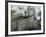 Statue, Gdansk, Poland-Russell Young-Framed Photographic Print