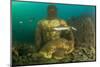 Statue in submerged Nymphaeum of Emperor Claudius, Italy-Franco Banfi-Mounted Photographic Print