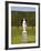 Statue in the Garden at Hampton Court Palace-Rudy Sulgan-Framed Photographic Print