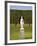 Statue in the Garden at Hampton Court Palace-Rudy Sulgan-Framed Photographic Print