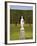 Statue in the Garden at Hampton Court Palace-Rudy Sulgan-Framed Photographic Print