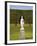 Statue in the Garden at Hampton Court Palace-Rudy Sulgan-Framed Photographic Print