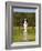 Statue in the Garden at Hampton Court Palace-Rudy Sulgan-Framed Photographic Print