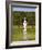 Statue in the Garden at Hampton Court Palace-Rudy Sulgan-Framed Photographic Print