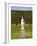 Statue in the Garden at Hampton Court Palace-Rudy Sulgan-Framed Photographic Print