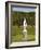 Statue in the Garden at Hampton Court Palace-Rudy Sulgan-Framed Photographic Print