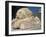 Statue of a Sleeping Lion at the Alupka Palace in Yalta, UKraine, Europe-Ken Gillham-Framed Photographic Print