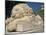 Statue of a Sleeping Lion at the Alupka Palace in Yalta, UKraine, Europe-Ken Gillham-Mounted Photographic Print