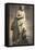 Statue of Aphrodite, Goddess of Beauty and Love-null-Framed Premier Image Canvas