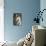 Statue of Aphrodite, Goddess of Beauty and Love-null-Mounted Photographic Print displayed on a wall