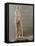 Statue of Aphrodite Type Capua, 2nd Century, White Marble, Full Relief-null-Framed Premier Image Canvas