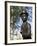 Statue of Charlie Chaplin in Leicester Square, in the Heart of London's West End-Julian Love-Framed Photographic Print