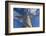 Statue of Christ of the Ozarks, Eureka Springs, Arkansas, USA-Walter Bibikow-Framed Photographic Print