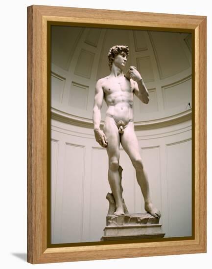 Statue of David, Accademia Gallery, Florence, Italy-Peter Thompson-Framed Premier Image Canvas