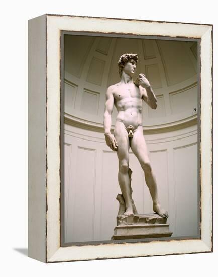 Statue of David, Accademia Gallery, Florence, Italy-Peter Thompson-Framed Premier Image Canvas