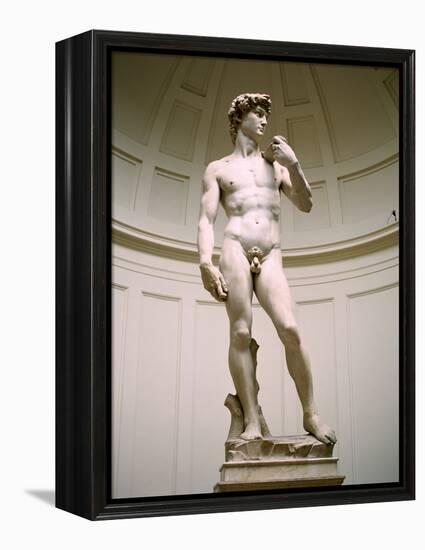 Statue of David, Accademia Gallery, Florence, Italy-Peter Thompson-Framed Premier Image Canvas