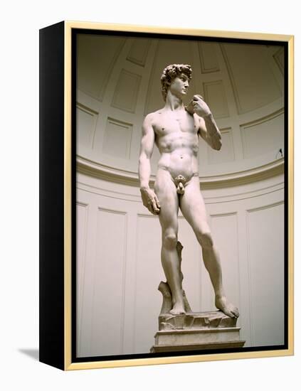 Statue of David, Accademia Gallery, Florence, Italy-Peter Thompson-Framed Premier Image Canvas