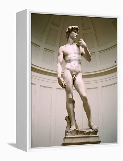 Statue of David, Accademia Gallery, Florence, Italy-Peter Thompson-Framed Premier Image Canvas