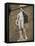 Statue of David by Michelangelo in the Piazza Della Signoria in Florence, Tuscany, Italy-Lightfoot Jeremy-Framed Premier Image Canvas