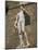 Statue of David by Michelangelo in the Piazza Della Signoria in Florence, Tuscany, Italy-Lightfoot Jeremy-Mounted Photographic Print